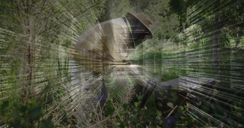 Beekeeper Inspects Hives with Digital Innovation Overlay
