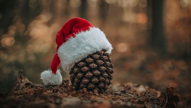Large pine cone wearing Santa hat on forest floor at golden hour, whimsical still life