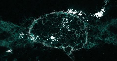 Digital Brain in Abstract Green Waves Symbolizing Medical Technology - Download Free Stock Images Pikwizard.com
