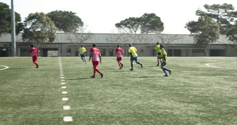 Energetic soccer players competing on sunny field