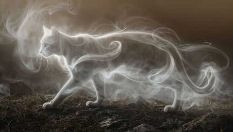 Walking white cat trailing translucent smoke over rocky ground with ethereal backlight