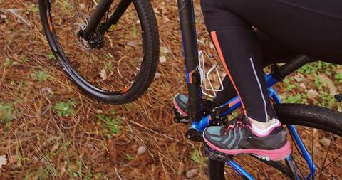 Person Cycling on Trail with Mountain Bike in Forest - Download Free Stock Images Pikwizard.com