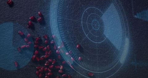 Pomegranate seeds scattering on dark slate with futuristic blue hud overlay