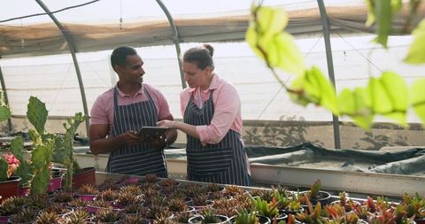 Diverse Coworkers Collaborating in Lush Greenhouse Setting