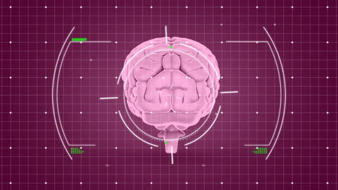 Futuristic Digital Brain and Data Interface