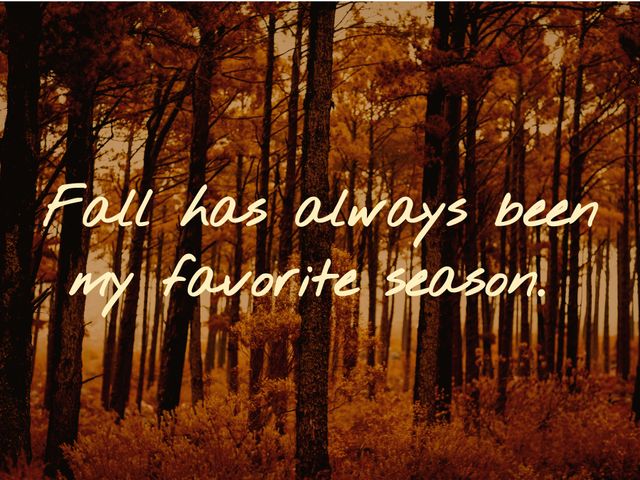 Stunning autumn forest scene with orange and brown foliage features an inspirational quote. Perfect for designing greeting cards, event invitations, or seasonal marketing materials. Evokes warmth and tranquility, making it ideal for conveying a heartfelt message or promoting autumn-related events.