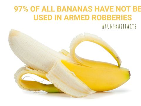 humorous banana fact with opened banana and trivia - Download Free Stock Templates Pikwizard.com