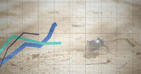 Scarab beetle crawling on sandy terrain with overlaid financial charts, grid and analytics