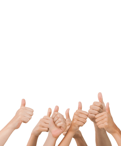 Diverse Hands Giving Thumbs Up Isolated on Transparent Background - Download Free Stock Videos Pikwizard.com
