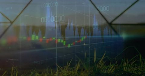 Greenhouse market overlay candlestick charts layered over grassy field at dusk