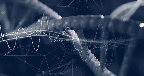 Intertwining DNA Strands with Digital Waveforms Analysis