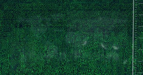 Digital Display of Stock Market Data and Modern Analytics - Download Free Stock Images Pikwizard.com