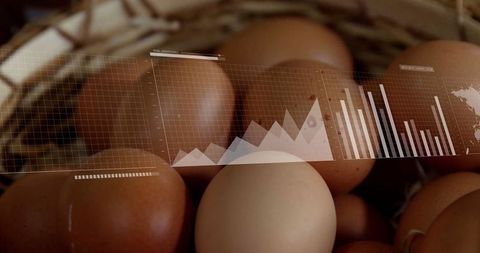 Eggs in Basket with Data Overlay Analytics Usage