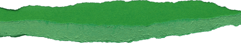 Green Torn Paper Edge Isolated on Transparent Background - Download Free Stock Videos Pikwizard.com