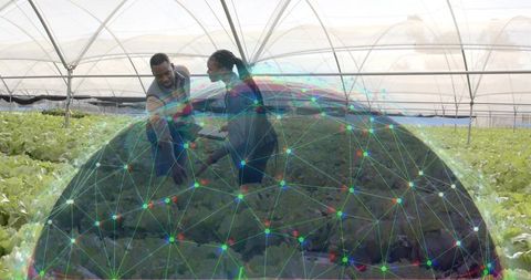 Farmers with Digital Network Transparent Globe in Greenhouse Nursery