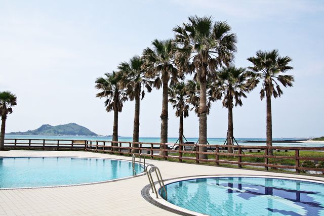 Palm trees adjacent to swimming pools with ocean view on sunny day. Ideal for promoting tropical vacation destinations, resort amenities, and summer getaway experiences.