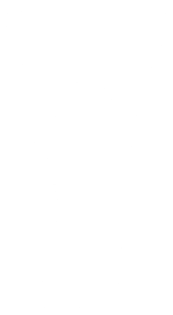 Transparent Silhouette of Woman Raising Hands in Victory - Download Free Stock Videos Pikwizard.com