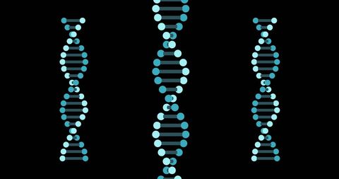 Digital dna strands on black background with blue rings