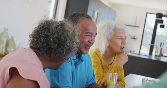 Older Friends Laughing and Enjoying Drinks During a Gathering - Download Free Stock Images Pikwizard.com