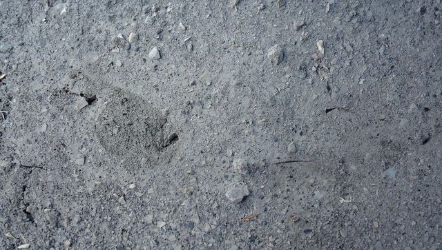 Packed gray gravel riverbed texture showing pebbles, dust and shallow impressions