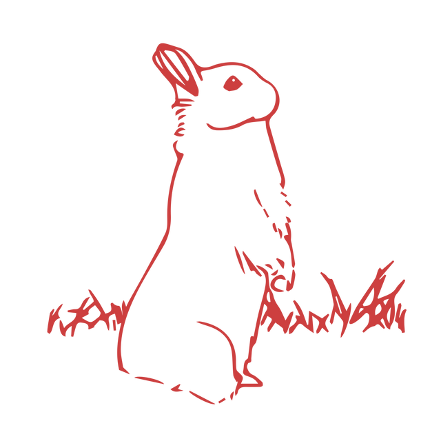 Red Bunny Looking Up Transparent Background Illustration - Download Free Stock Videos Pikwizard.com