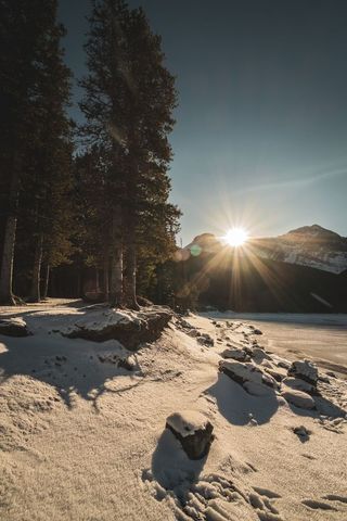 Winter Sunrise Casting Light Over Snowy Landscape