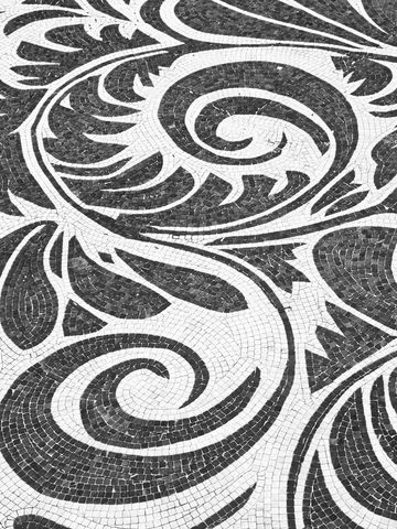 Ornate black and white mosaic floor pattern design