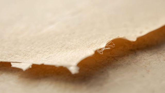 Macro closeup of torn handmade paper edge revealing frayed fibers and warm grain texture