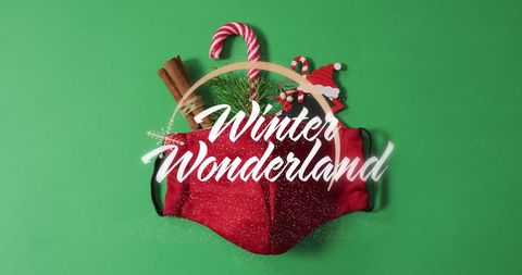 Festive Face Mask with Winter Wonderland Holiday Theme