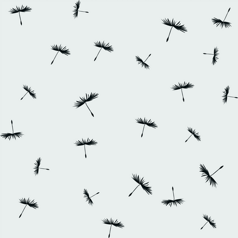 Black Dandelion Seeds Pattern on Transparent Background - Download Free Stock Videos Pikwizard.com
