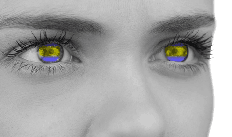 transparent human eyes highlighted with ukraine flag colors - Download Free Stock Videos Pikwizard.com