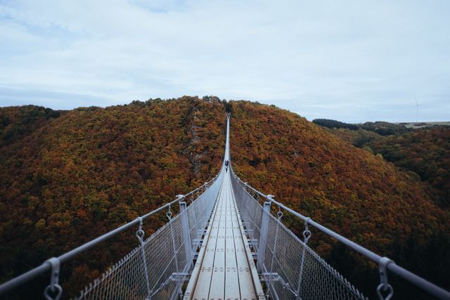 Suspension bridge spanning over a dense autumn forest. Bridge leads deep into the beautiful, colorful foliage. Ideal for promoting outdoor activities, adventure tours, travel magazines, hiking guides, and nature blogs. Perfect visual for encapsulating the thrill of exploration and untouched natural landscapes.