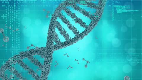 Digital Animation of Spinning DNA Strand with Data Interface