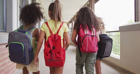Diverse Girls Chatting While Walking in School Corridor - Download Free Stock Images Pikwizard.com