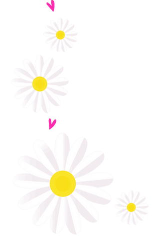 minimalist flat design daisies with hearts on transparent background - Download Free Stock Videos Pikwizard.com