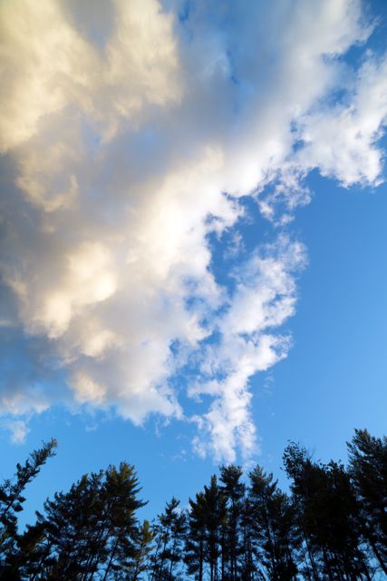 Clouds nature sky trees - Download Free Stock Photos Pikwizard.com