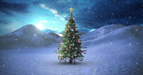 Majestic Christmas Tree in Snowy Winter Landscape