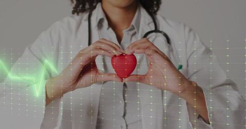 Female doctor holding heart model with ecg overlay