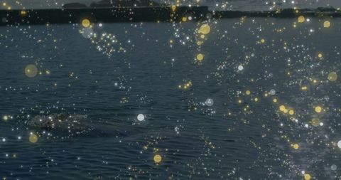 Tranquil water surface with golden sparkles at dusk
