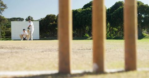 Wooden stumps framing cricket batter and wicketkeeper on sunlit pitch with green trees