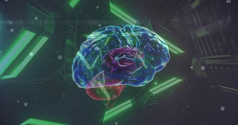 Neon Lights Illuminating Transparent Brain in Futuristic Technology - Download Free Stock Images Pikwizard.com