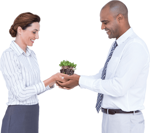 business professionals holding plant on transparent background - Download Free Stock Videos Pikwizard.com