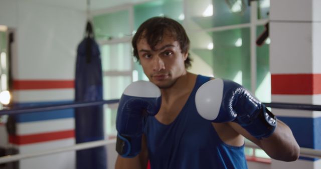 Young Boxer Practicing in Gym with Focused Expression - Download Free Stock Images Pikwizard.com