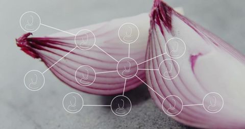 Innovative Shallot Display with Network Overlay on Minimalist Background