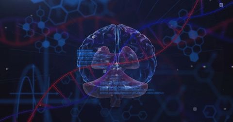 Scientific Data Processing with Brain and DNA Overlay - Download Free Stock Images Pikwizard.com