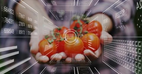 Hands presenting fresh tomatoes with augmented reality data overlay for agtech innovation