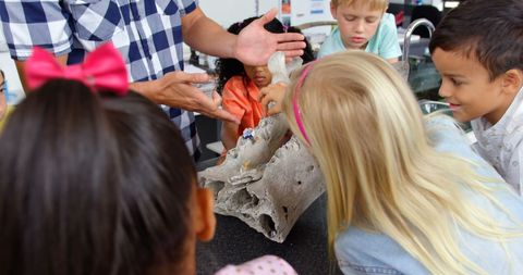 Male teacher and children engaging with animal skeleton in classroom