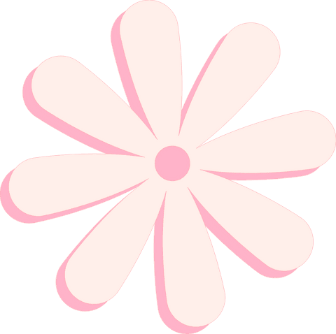 pink daisy icon with drop shadows on transparent background - Download Free Stock Videos Pikwizard.com