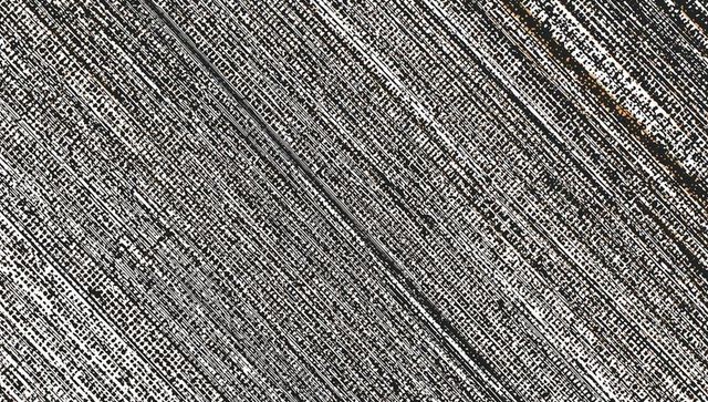 Filling-frame diagonal halftone texture revealing speckled twill ridges in monochrome macro