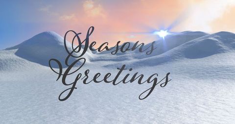 Seasons Greetings Text Over Serene Winter Landscape